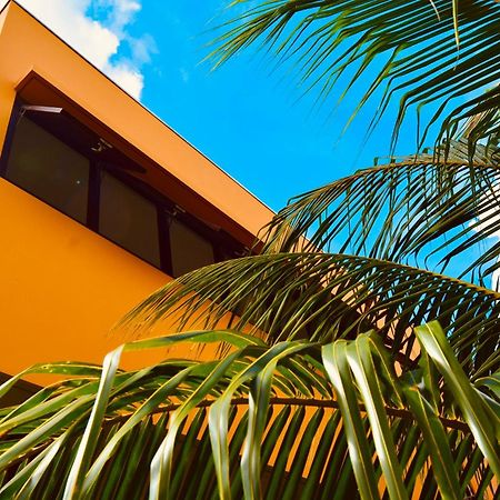 Bohemi Design Villa'S Dorp Dorp Sint Michiel Eksteriør bilde